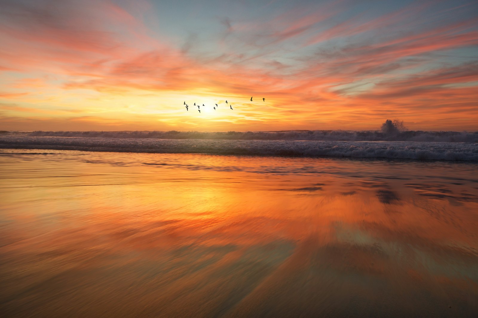A dramatic golden-hour sunset over the ocean with birds flying across a bright sun